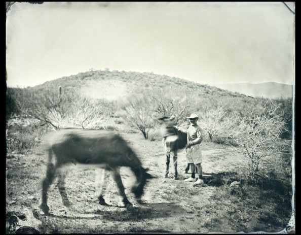  Expeditionary_Frenchman_with_Donkeys_8x10 