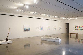 Bruce Brown Gallery