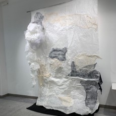 Mildred Bachrach  2019 %22Remnants%22, paper,cloth; 8'x13'