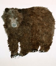 Lucky-Platt-Protective-Bear