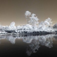 Jane Page-Conway_Infrared Photography