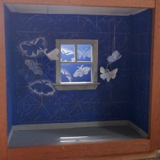 Moth box.blue