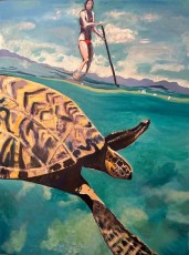 SUPer and sea turtle - 17 Aug 2023 - FINAL