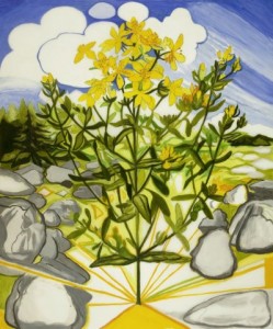 John Knight, "St. John's Wort Drawing," 2014, pencil and acrylic on Mylar, 36 x 30 in. Courtesy Elizabeth Moss Galleries, Falmouth, ME.