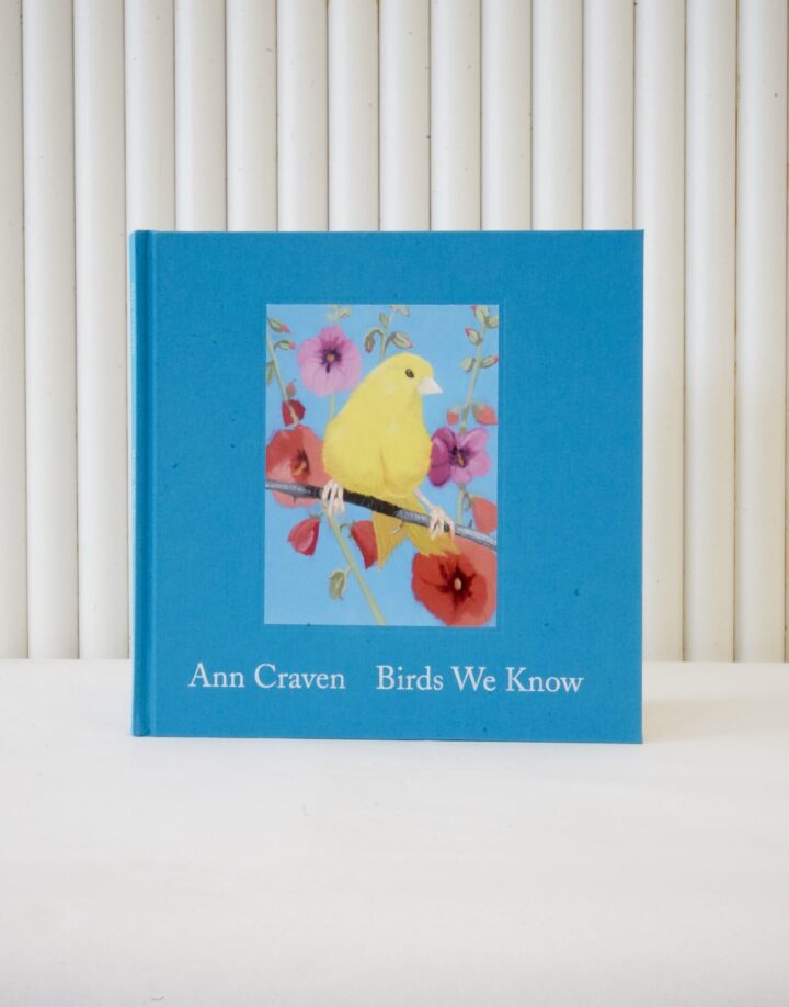 Cover of Birds We Know catalogue, Ann Craven